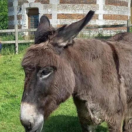Clos Masure Blevillot