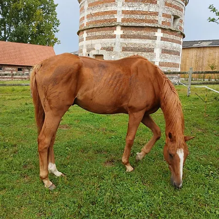 Vakantiehuis Clos Masure Blevillot *