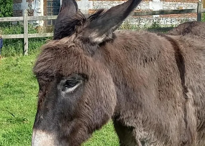 Clos Masure Blevillot